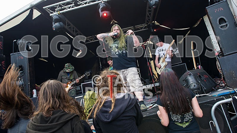 Stone Em All-16 - STONE EM ALL