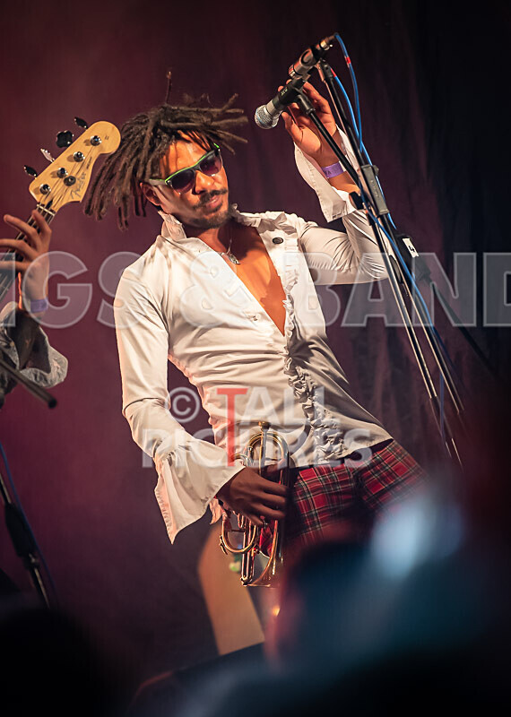 The Recks-914 - THE RECKS