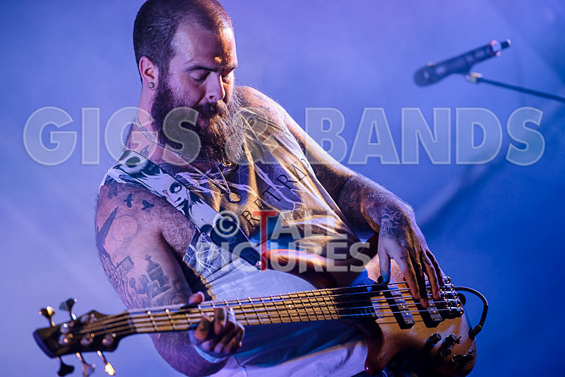 Static Alice-612 - STATIC ALICE