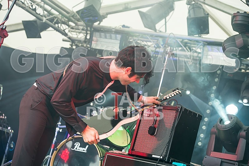 Surfin Birds-8 - THE SURFIN' BIRDS