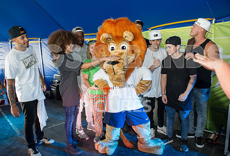 Diversity-54 - DIVERSITY