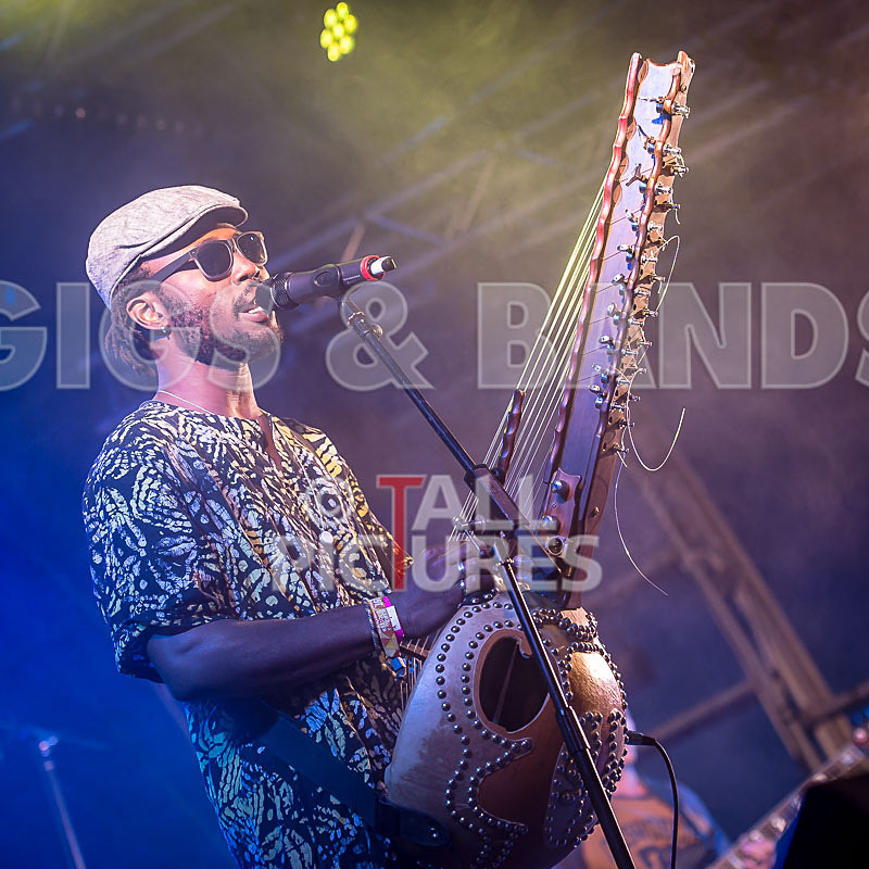 Joe Driscoll Sekou Kouyate-8 - JOE DRISCOLL & SEKOU KOUYATE