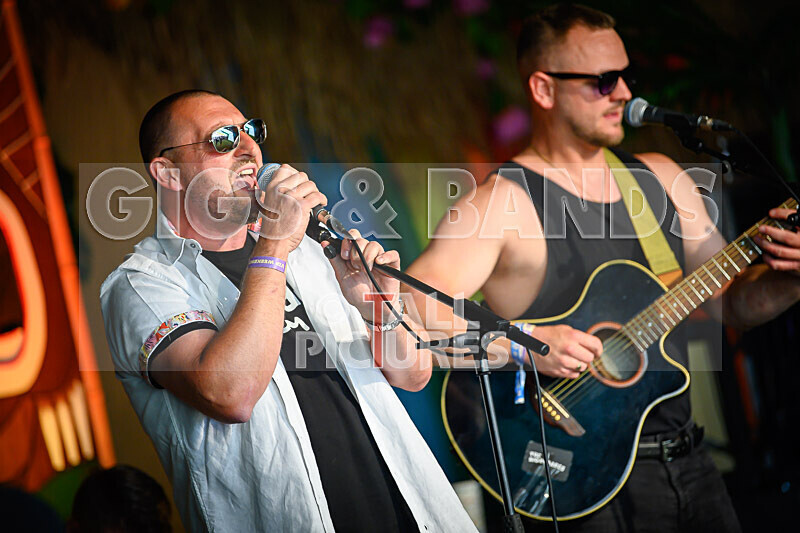 Arctic Donkeys-2 - ARCTIC DONKEYS