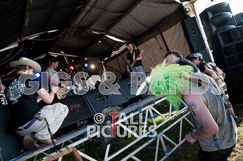 CFS-8 - CFS at GREENMAN CHAOS 2010