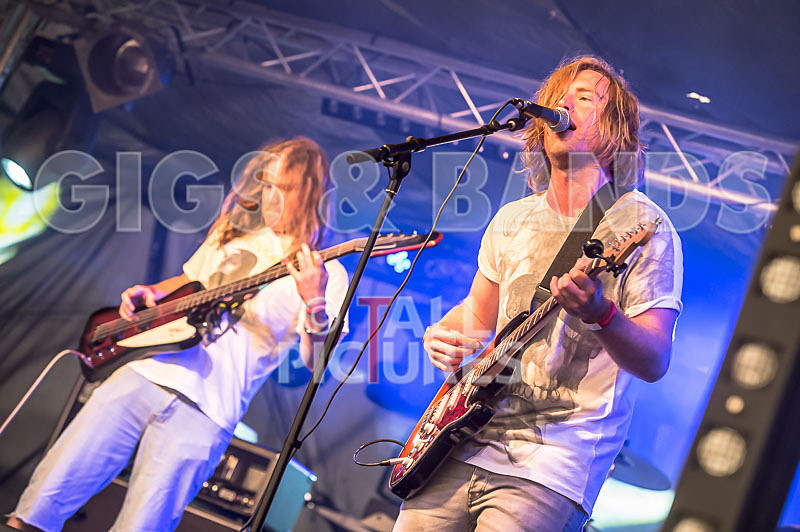 Near Bliss-5 - NEAR BLISS