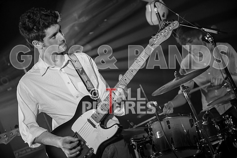 China Aster-58 - CHINA ASTER