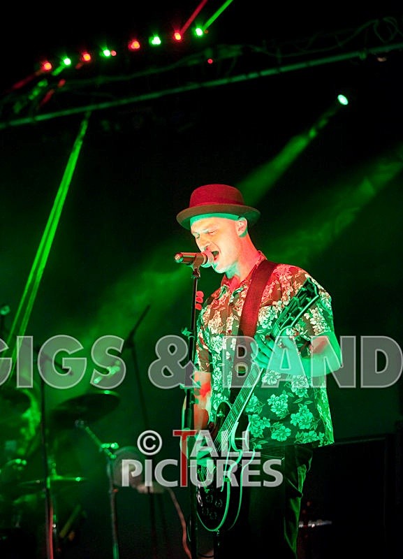 Peppered Ant Legs-25 - PEPPERED ANT LEGS at RoA-3