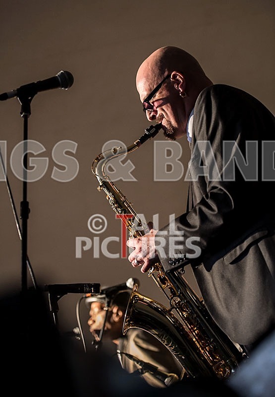 The Selecter-19 - THE SELECTER