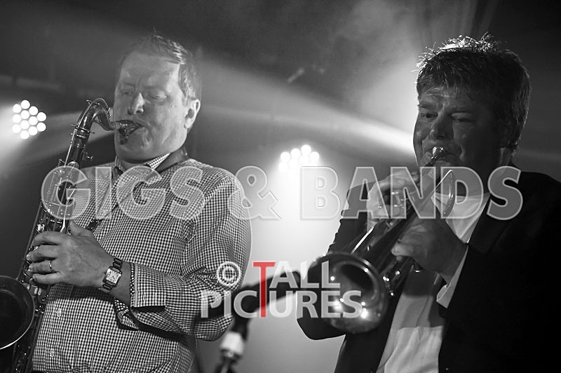 King Rat and the Soul Cats-32 - KING RAT & THE SOUL CATS