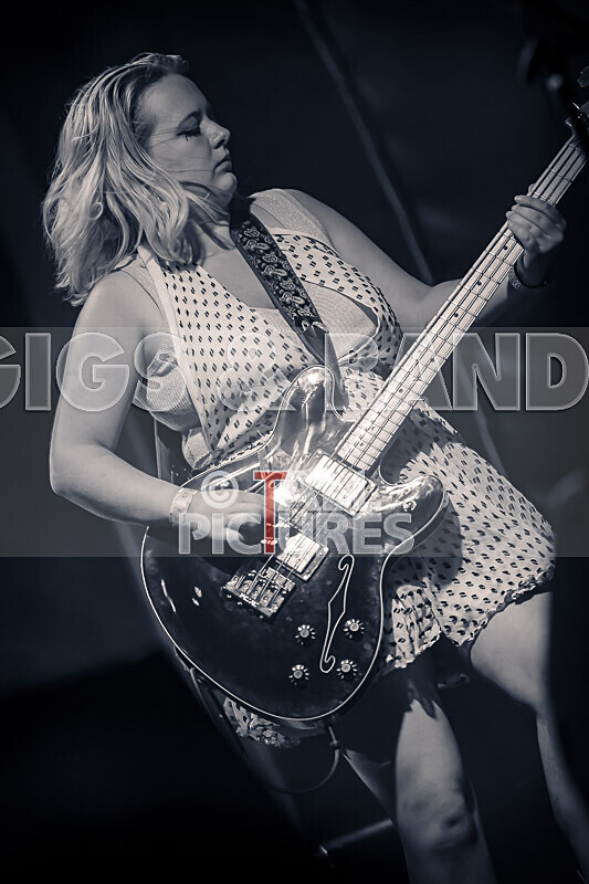 Track Not Found-719 - TRACK NOT FOUND