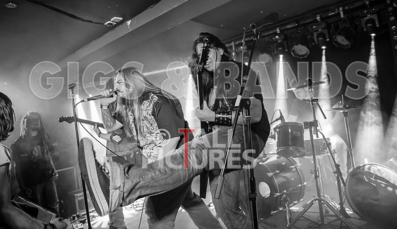 Stone Em All-193 - STONE EM ALL