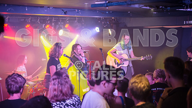 Avacado Geff-15 - AVACADO GEFF