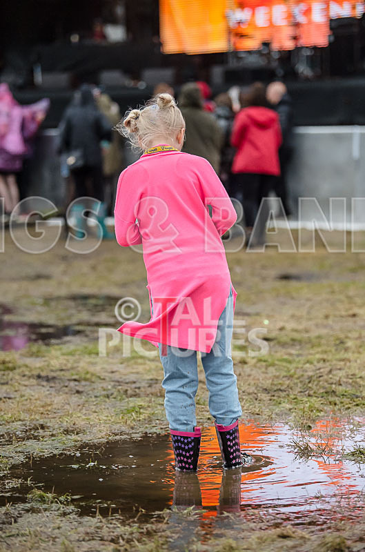 Weekender Festival 2017_Scene-31 - JERSEY WEEKENDER 2017_THE SCENE