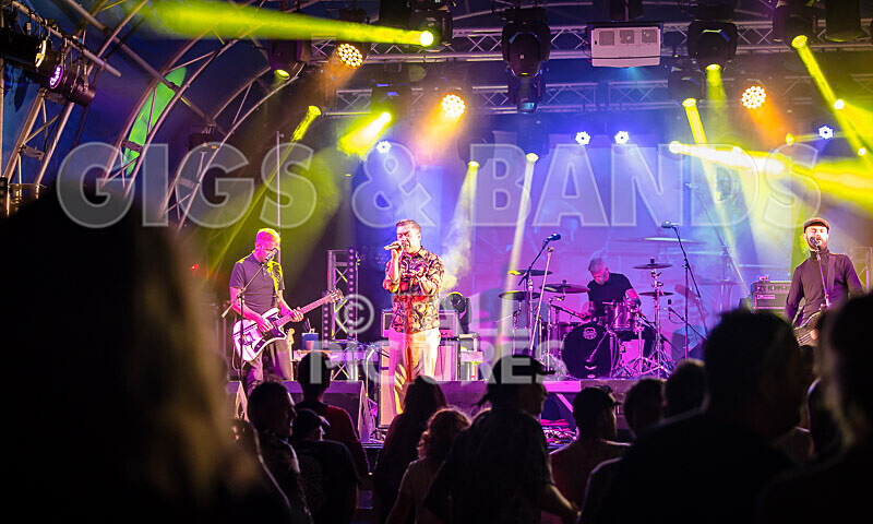 The King Blues-18 - THE KING BLUES