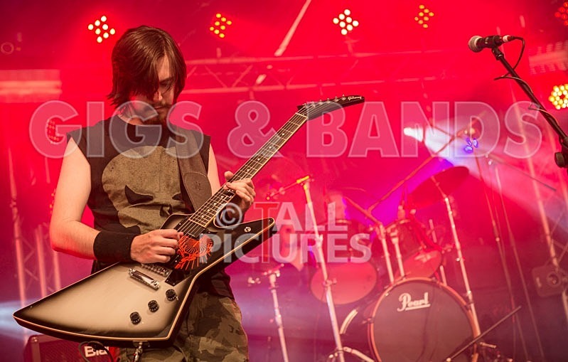 Chaos 2013_Demise of Sanity-5 - DEMISE OF SANITY