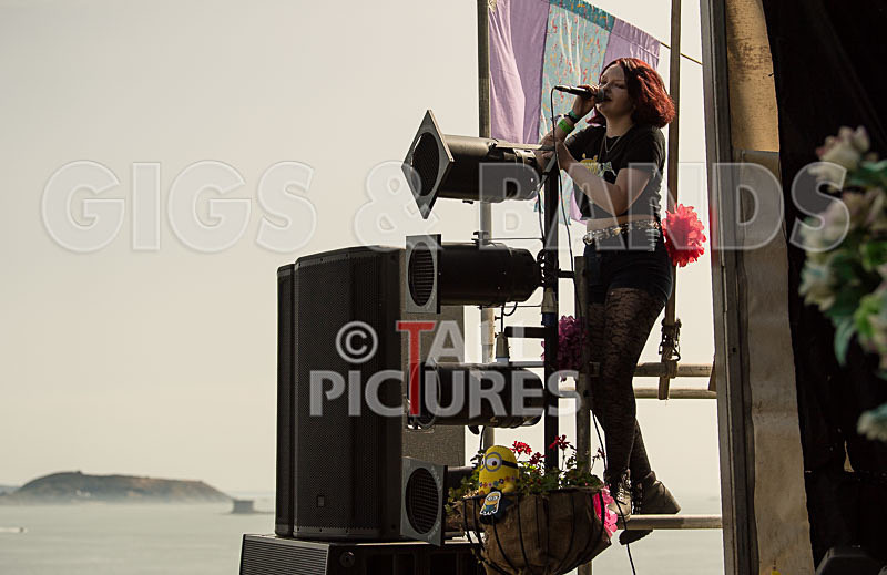 SoPM Vale Earth Fair-24 - SoPM on the VIEWALALU STAGE