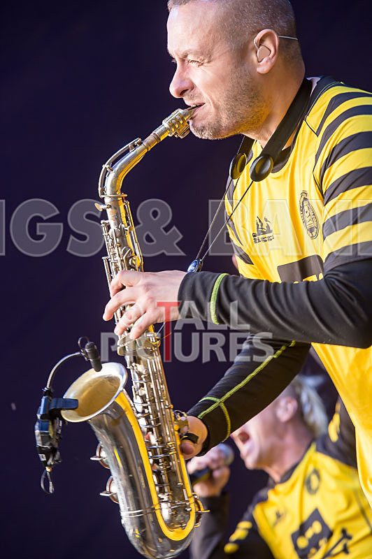 Dubioza Kolektiv-9 - DUBIOZA KOLEKTIV