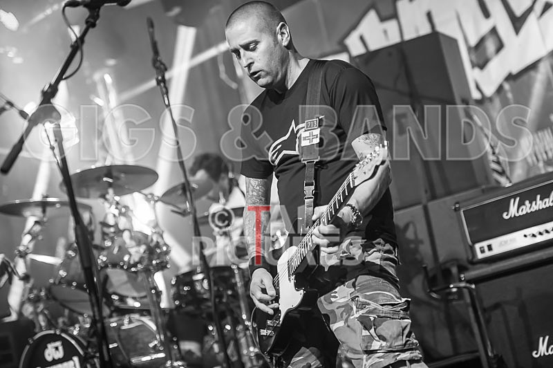 Spunge-76 - [spunge]