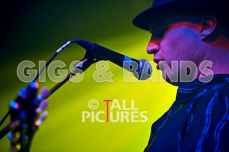 Peppered Ant Legs-54 - PEPPERED ANT LEGS