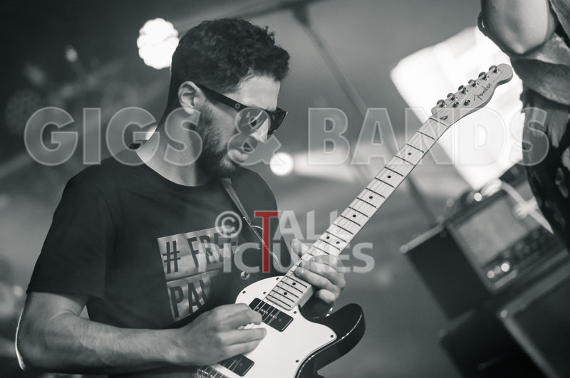 Static Alice-732 - STATIC ALICE