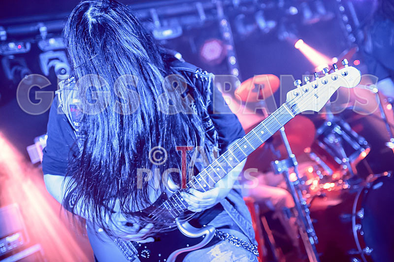 Stone Em All-261 - STONE EM ALL