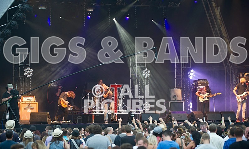 Cage the Elephant-62 - CAGE THE ELEPHANT