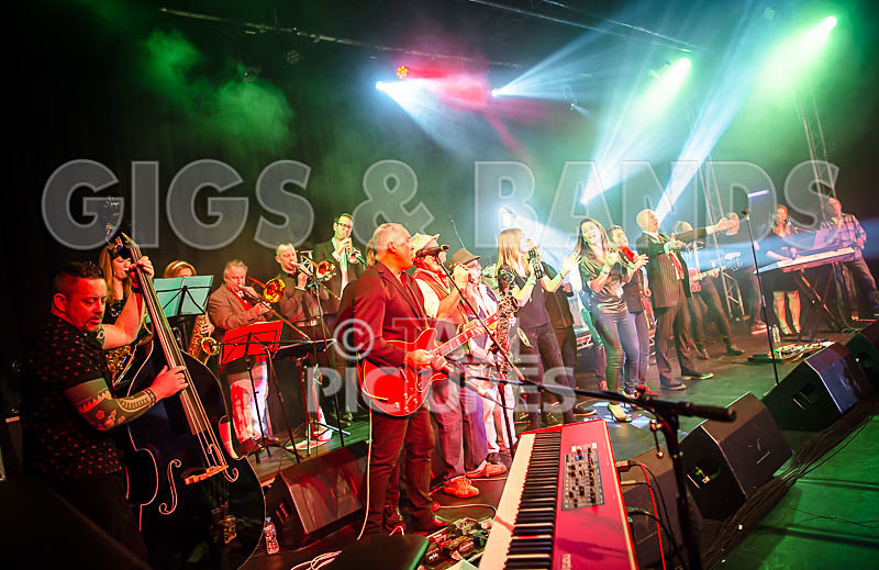 Harry Dean Junior and the New Breed-24 - HARRY DEAN JUNIOR AND THE NEW BREED