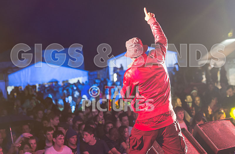 Vale Earth Fair 2015-13 - VALE EARTH FAIR 2015 - THE PRESS EDIT