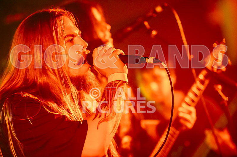 Stone Em All-247 - STONE EM ALL