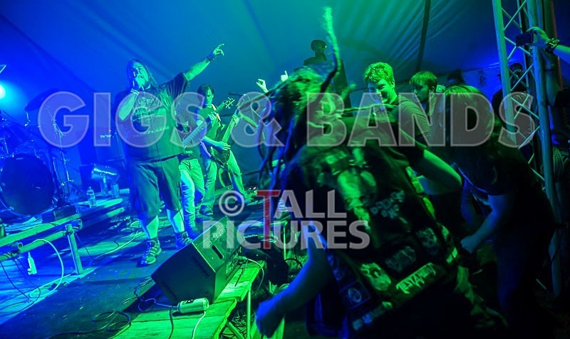 Stone Em All-70 - STONE EM ALL