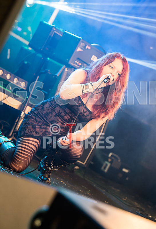 The Violet Diversion-8 - THE VIOLET DIVERSION