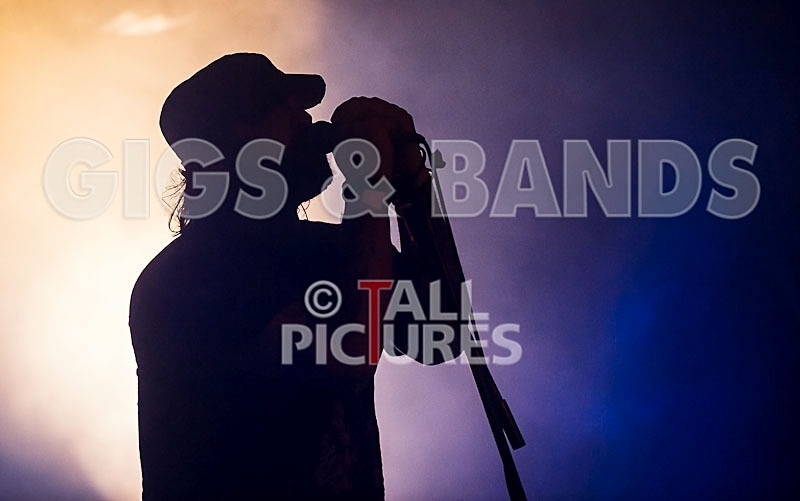 Viking Skull-12 - VIKING SKULL