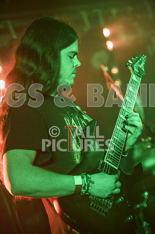 Masticated-25 - MASTICATED