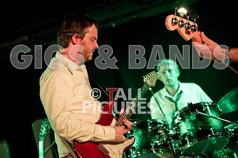 Wild Card-85 - WILD CARD