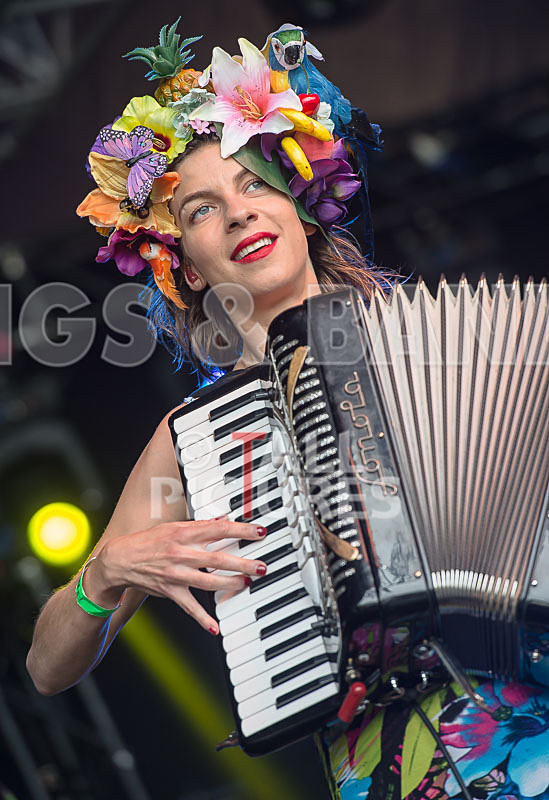 Molotov Jukebox-42 - MOLOTOV JUKEBOX