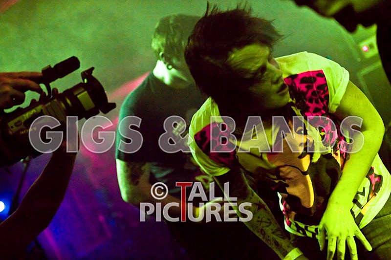 Five Across the Eyes-5 - FIVE ACROSS THE EYES at RoA-5