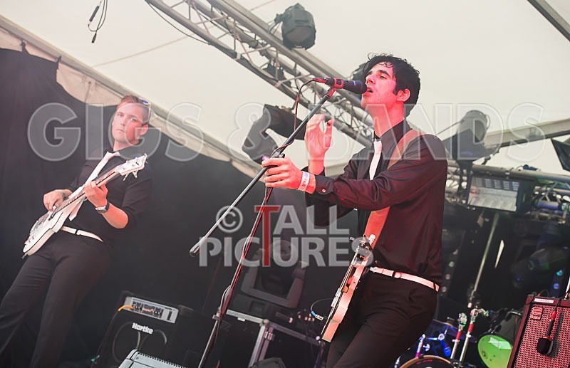 Surfin Birds-14 - THE SURFIN' BIRDS