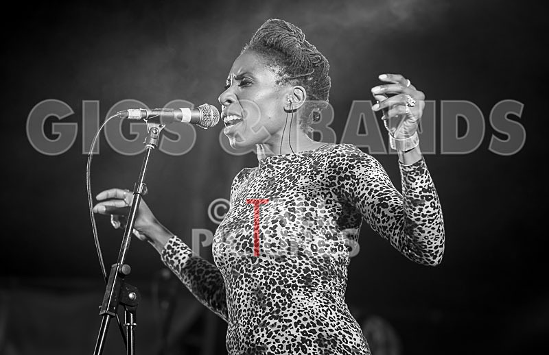 The Delegators-35 - THE DELEGATORS