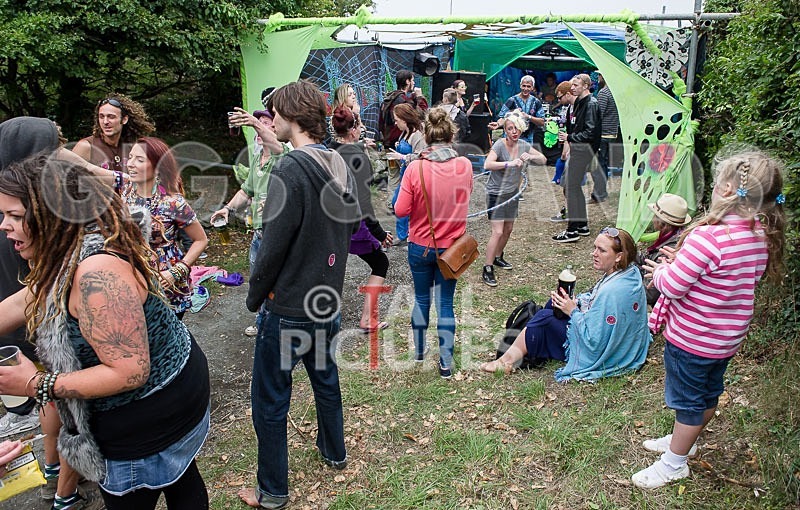 Vale Earth Fair_2013_Atmosphere-29 - VALE EARTH FAIR 2013_THE ATMOSPHERE