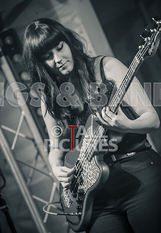 The Tarantulips-12 - THE TARANTULIPS