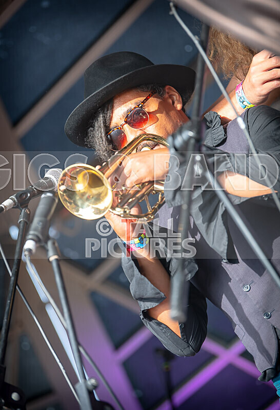 The Pips-144 - THE PIPS