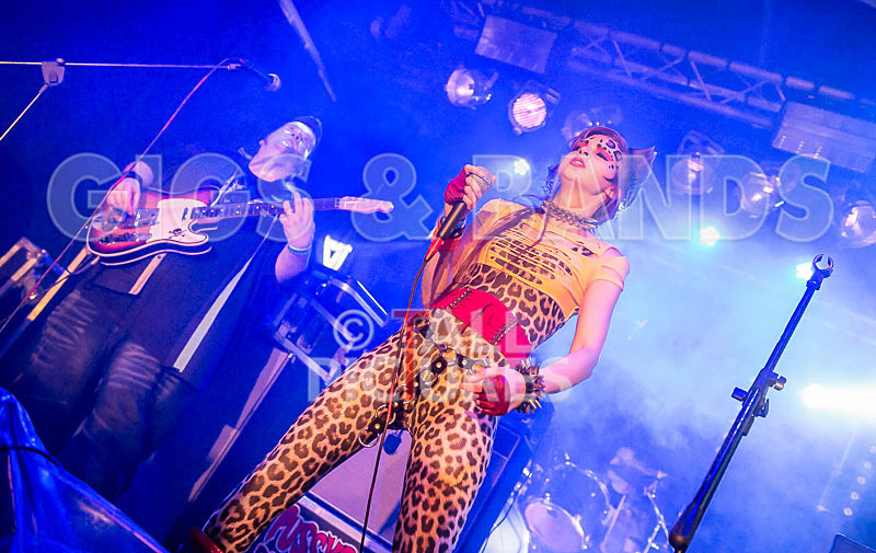 Pussycat and the Dirty Johnsons-25 - PUSSYCAT AND THE DIRTY JOHNSONS