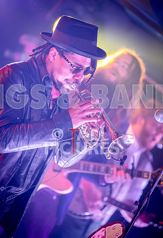 The Recks-746 - THE RECKS - THE BEAST FROM THE SEA