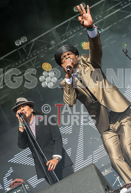 The Selecter-26 - THE SELECTER