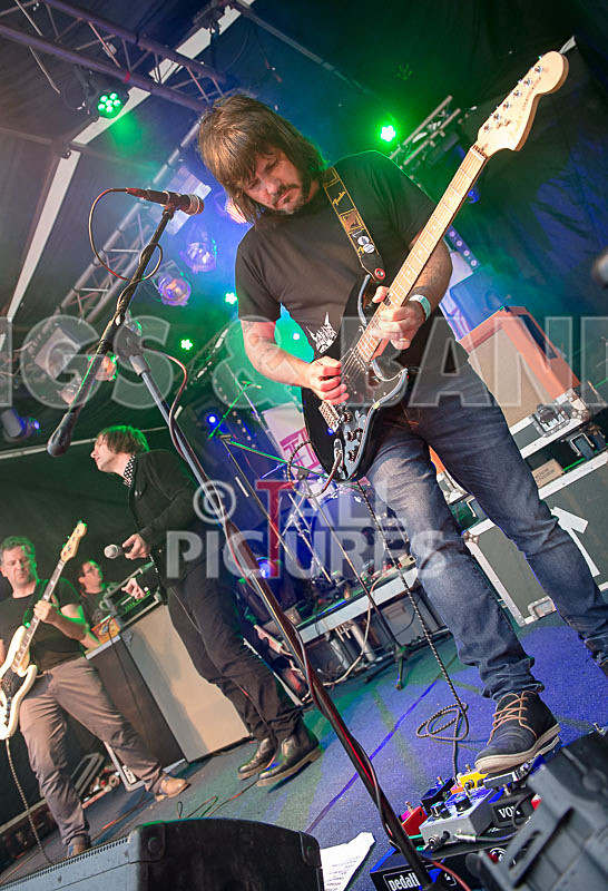 The Cryptics-105 - THE CRYPTICS