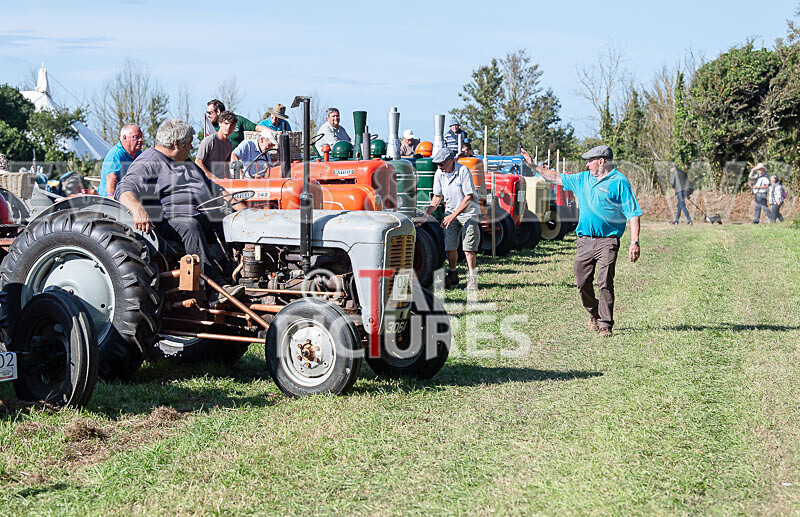 Guernsey Agricultural Show 2021-224 - GUERNSEY AGRICULTURAL SHOW 2021