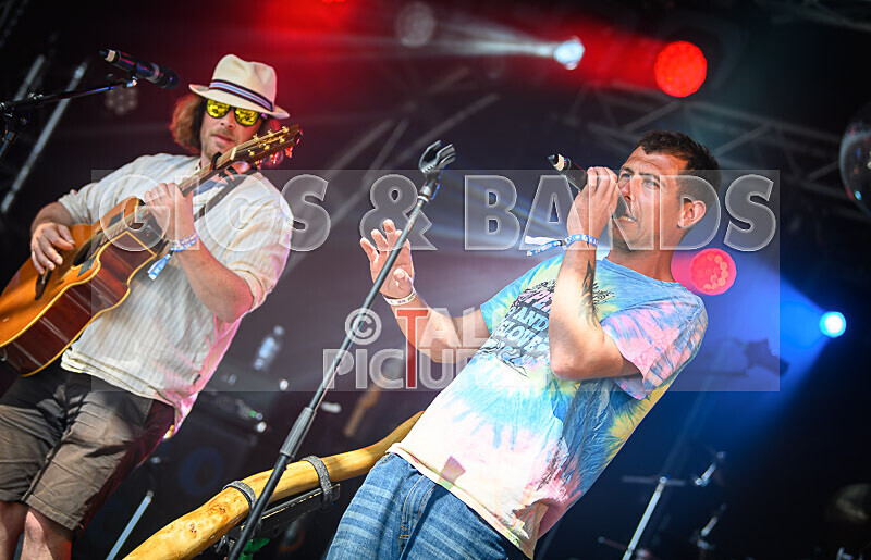 Buffalo Hudleston-730 - BUFFALO HUDLESTON