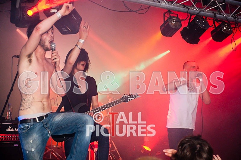 Elmer Henley-104 - VALE EARTH FAIR 2009