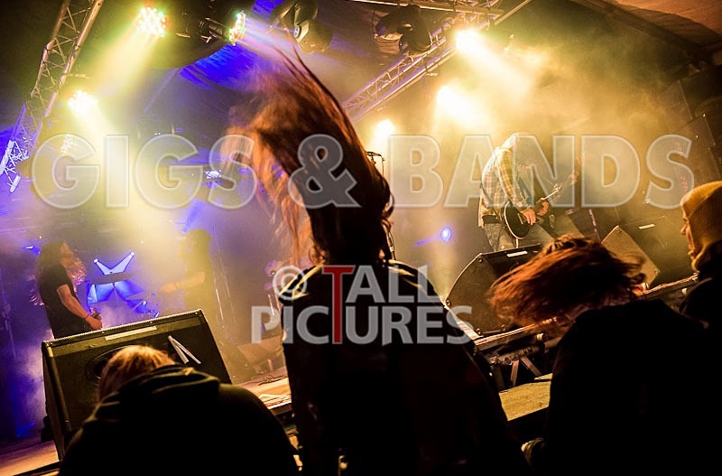 Viking Skull-6 - VIKING SKULL