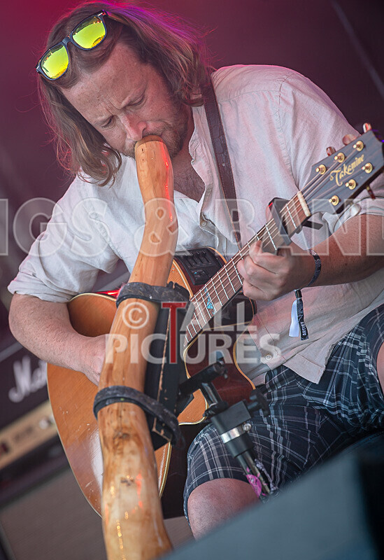 Buffalo Huddleston-745 - BUFFALO HUDDLESTON